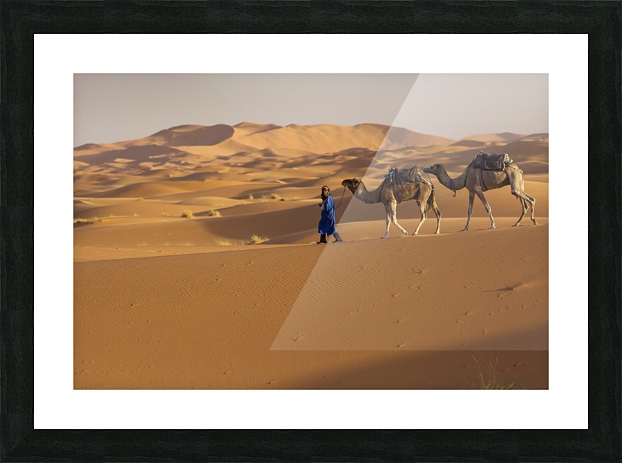 3W3A3682 copy Picture Frame print