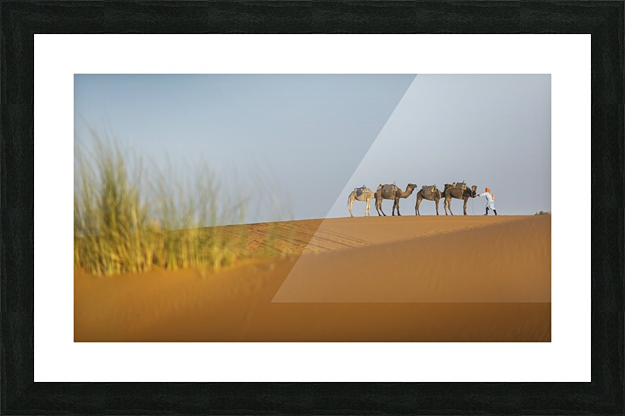 3W3A3729 copy Picture Frame print