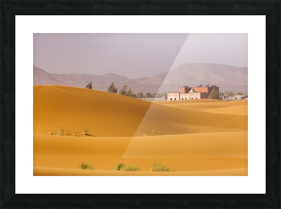 3W3A2898 copy Picture Frame print