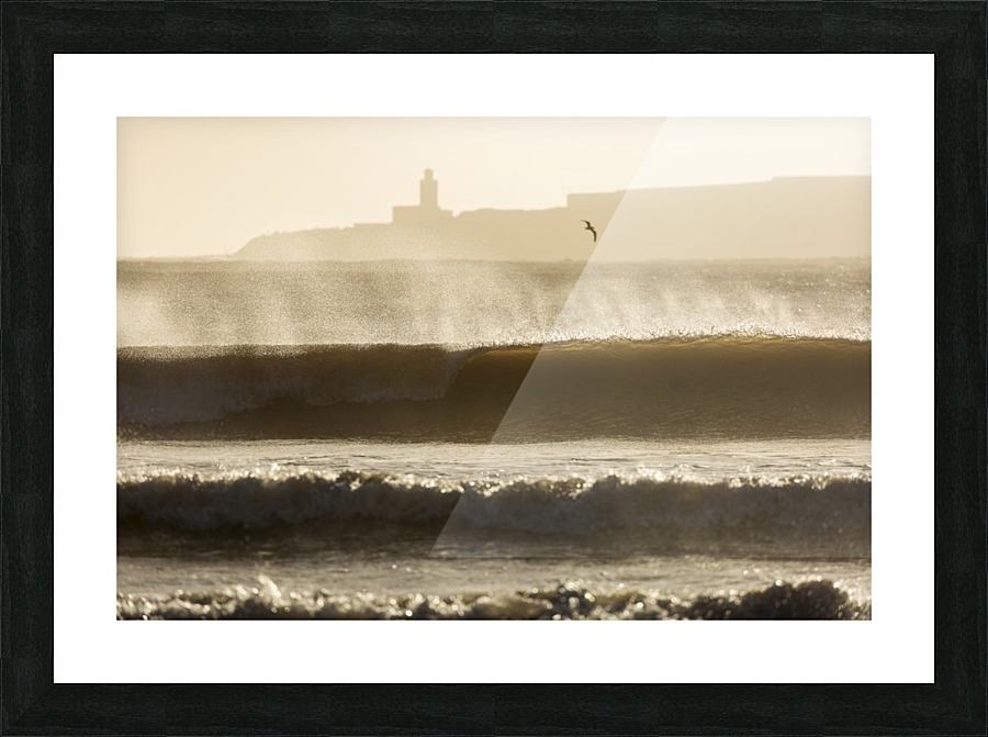 3W3A6835 copy Picture Frame print