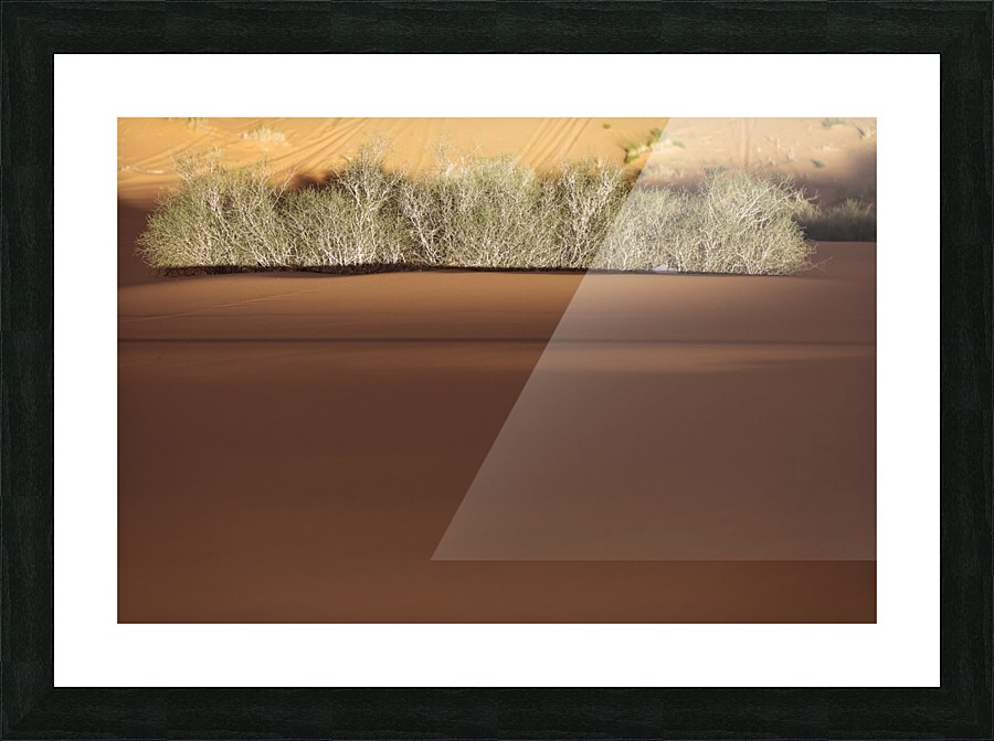 3W3A2728 copy Picture Frame print