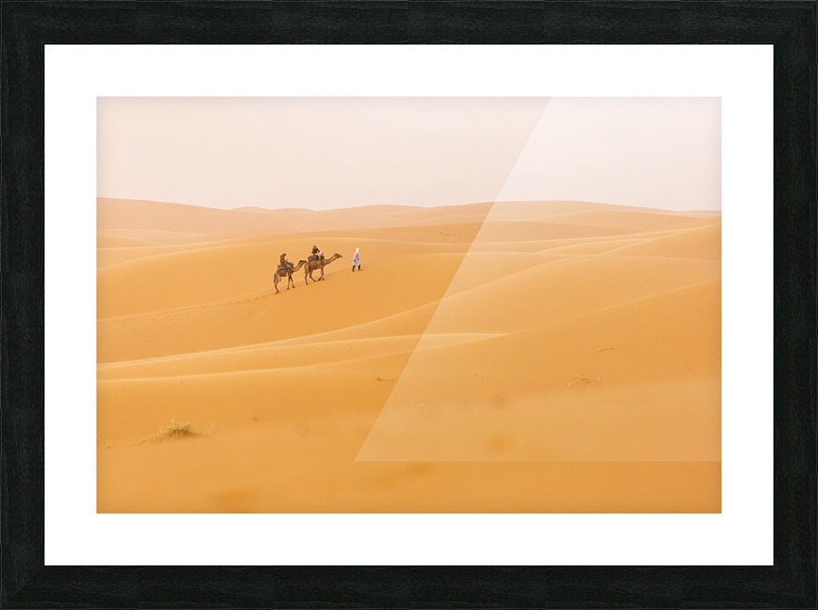 3W3A3419 copy Picture Frame print