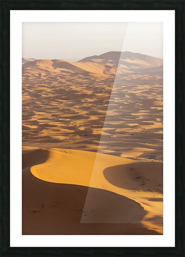 3W3A2116 copy Picture Frame print