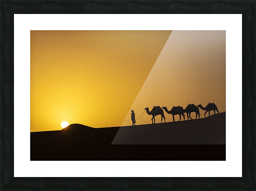 3W3A3500 copy Picture Frame print