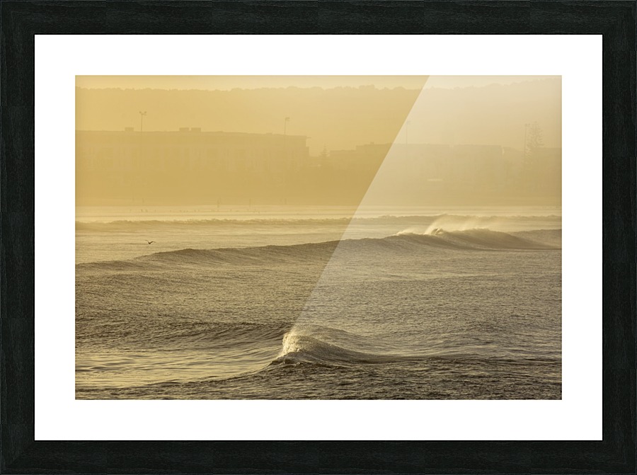 3W3A5481 copy Picture Frame print