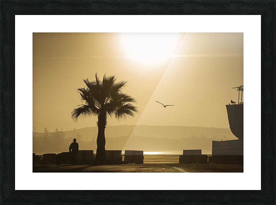3W3A5575 copy Picture Frame print
