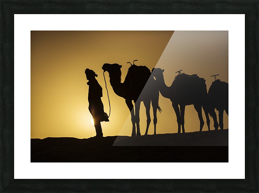 3W3A3541 copy Picture Frame print