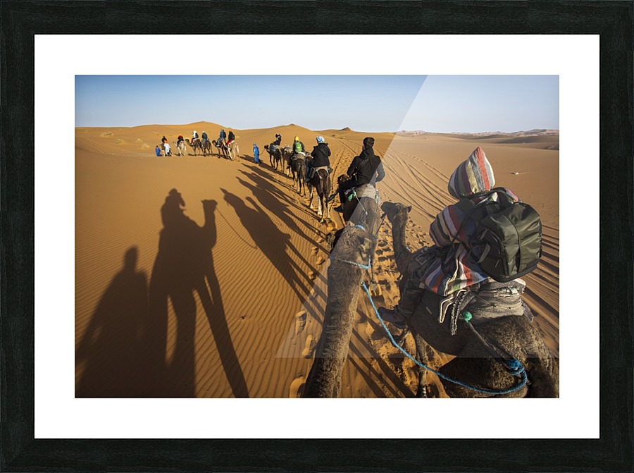 3W3A3789 copy Picture Frame print