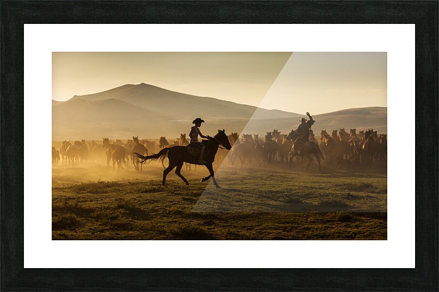 3W3A9165 copy Picture Frame print
