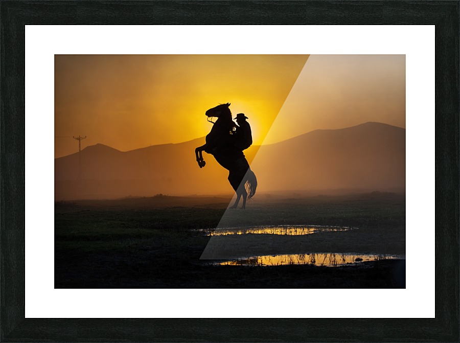 3W3A9560 copy Picture Frame print