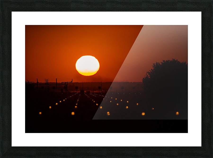 3W3A3919 copy Picture Frame print