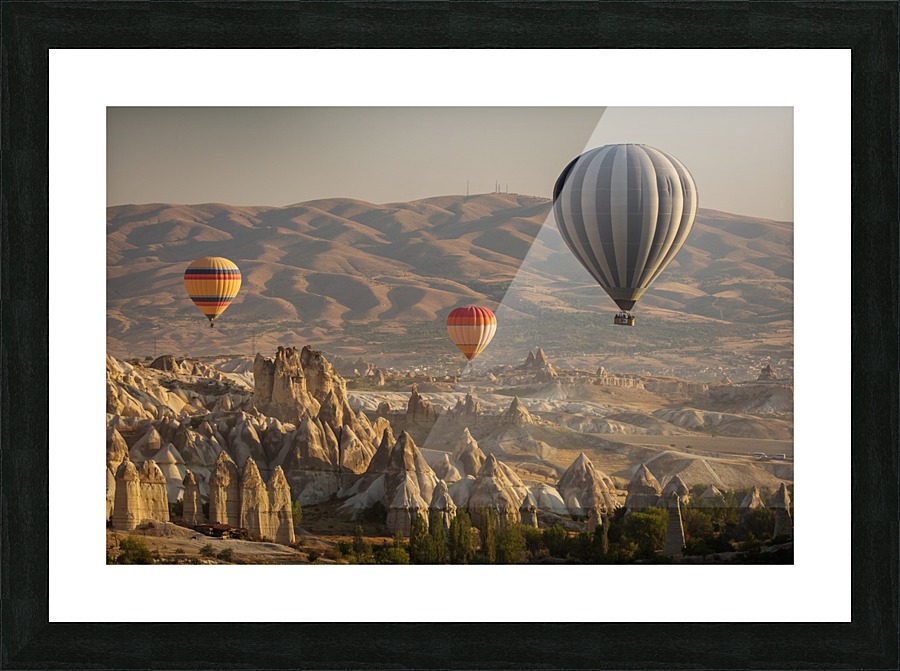 3W3A0537 copy Picture Frame print