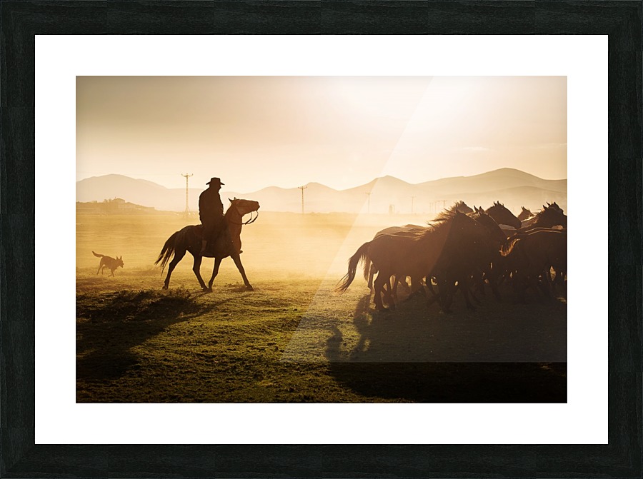 3W3A9160 (1) Picture Frame print
