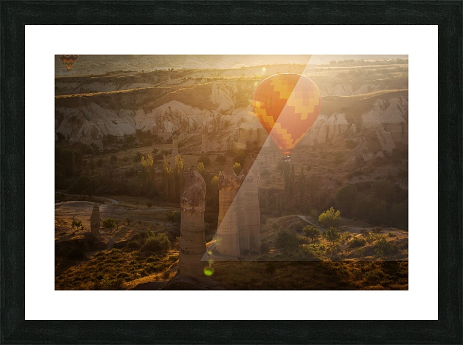 3W3A8247 copy Picture Frame print