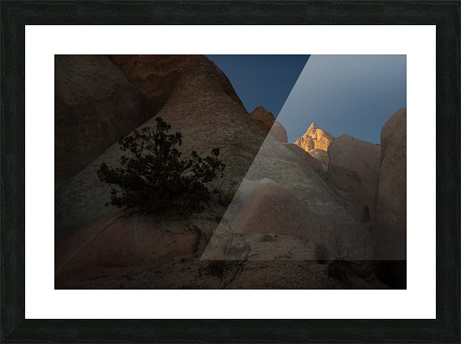 3W3A6032 copy Picture Frame print
