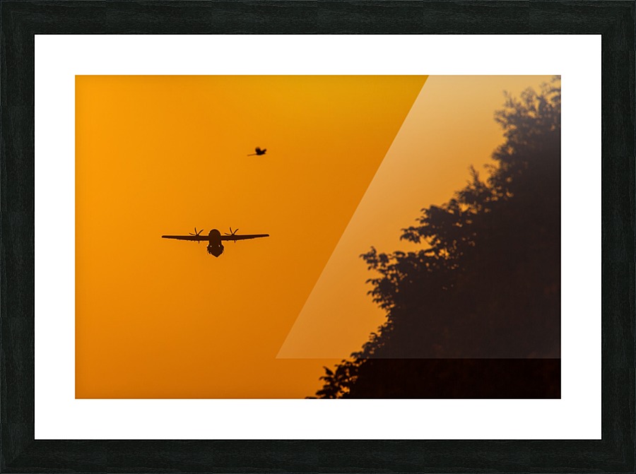 3W3A4142 copy Picture Frame print