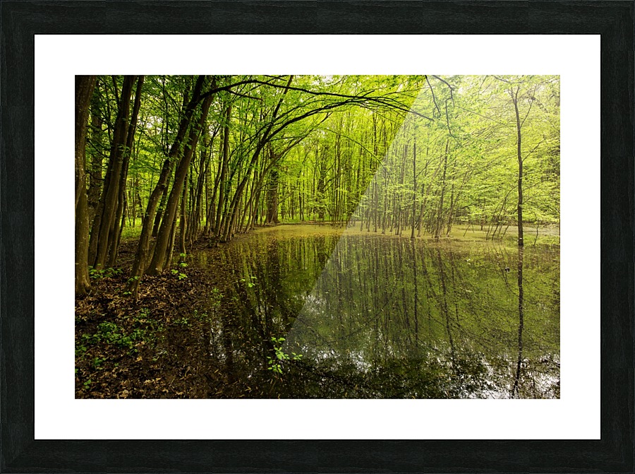 3W3A0929 copy Picture Frame print