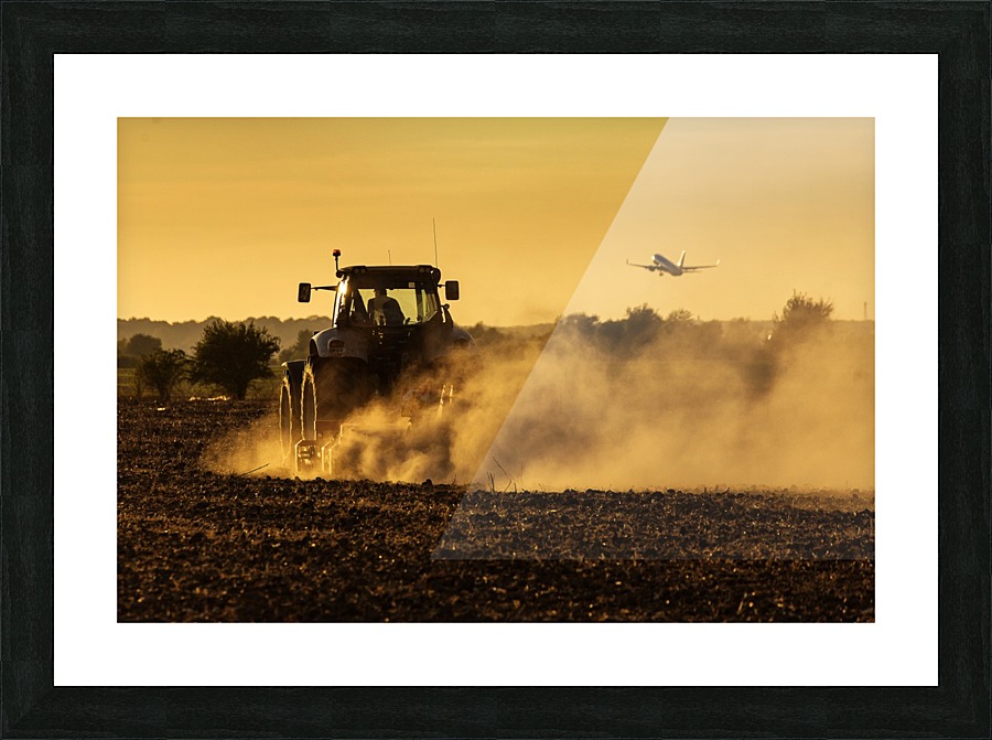 3W3A3901 copy Picture Frame print