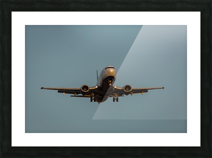 3W3A4032 copy Picture Frame print
