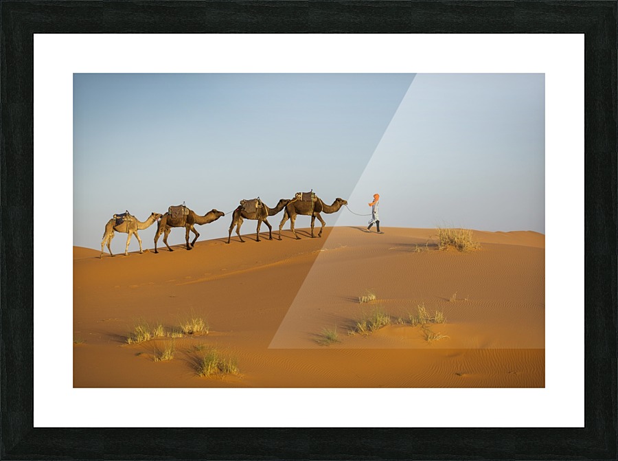 3W3A3651 copy Picture Frame print