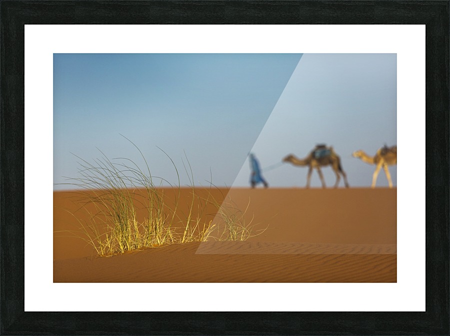 3W3A3697 copy Picture Frame print