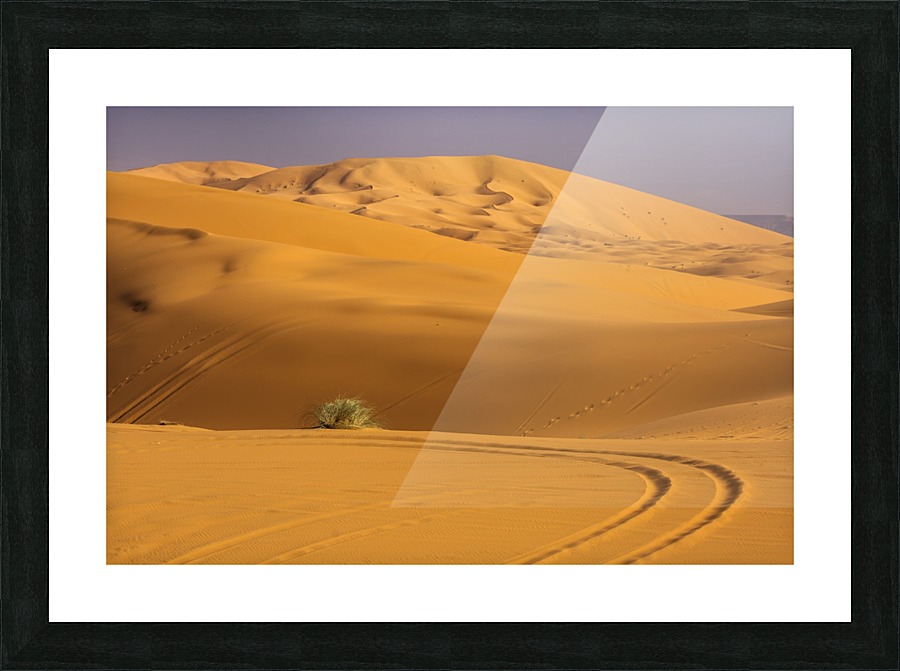 3W3A2814 copy Picture Frame print