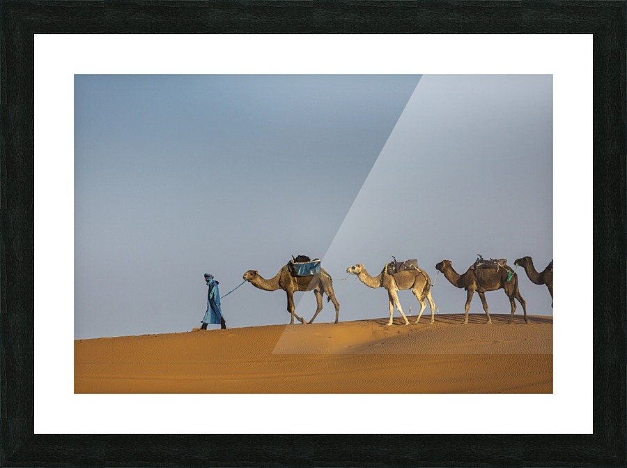 3W3A3732 copy Picture Frame print