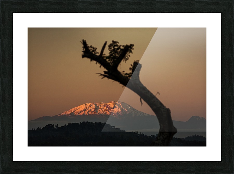 3W3A6369 copy Picture Frame print