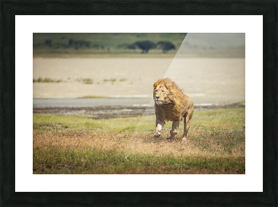 3W3A0095 copy Picture Frame print