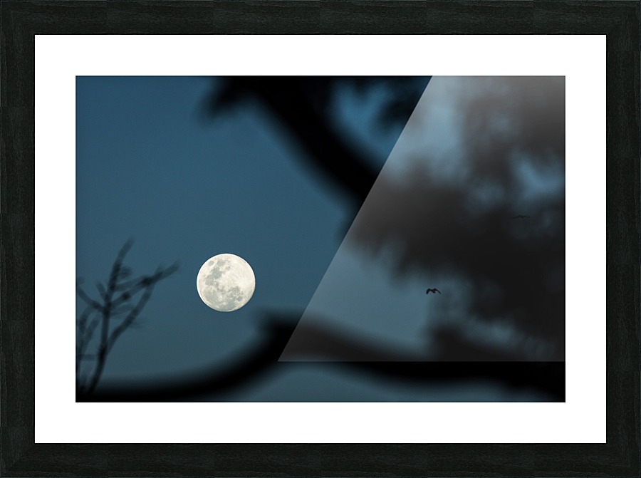 3W3A6357 copy Picture Frame print