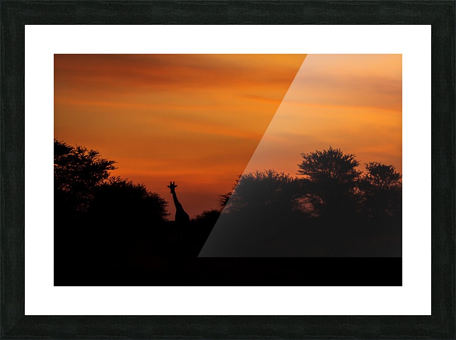 3W3A8482 copy Picture Frame print
