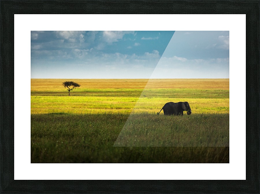 3W3A8115 copy Picture Frame print