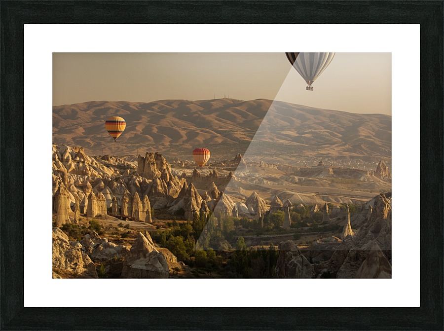 3W3A0541 copy Picture Frame print