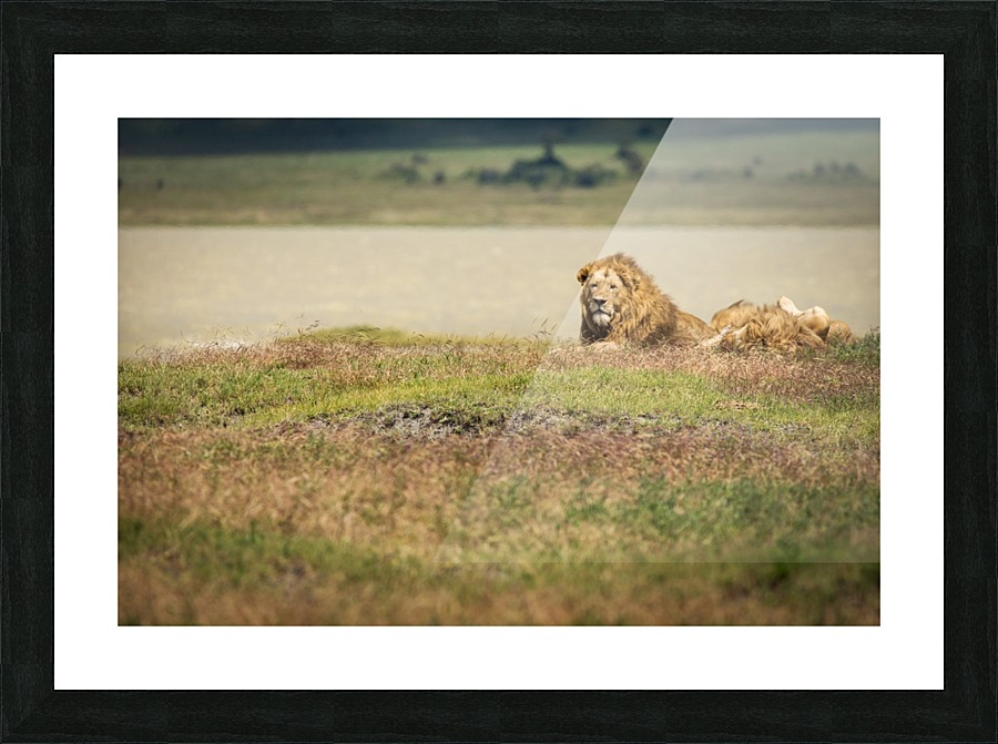 3W3A0055 Picture Frame print