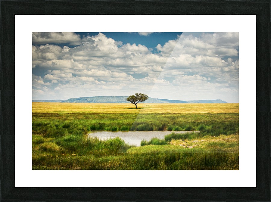 3W3A0087 Picture Frame print