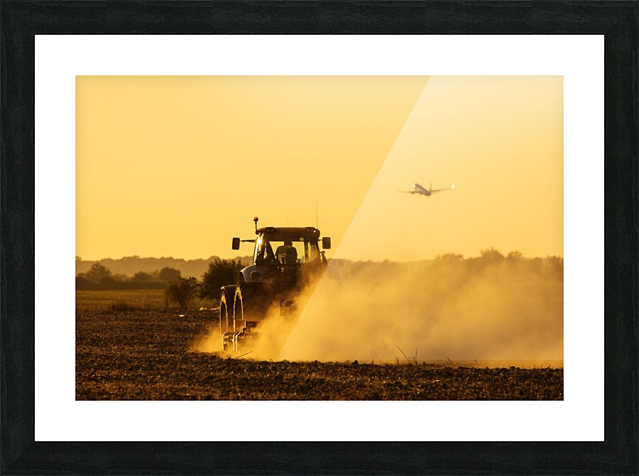 3W3A3904 copy Picture Frame print