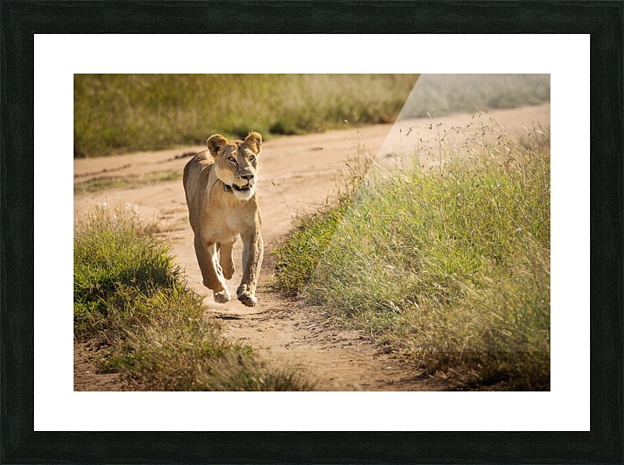 3W3A9082 Picture Frame print