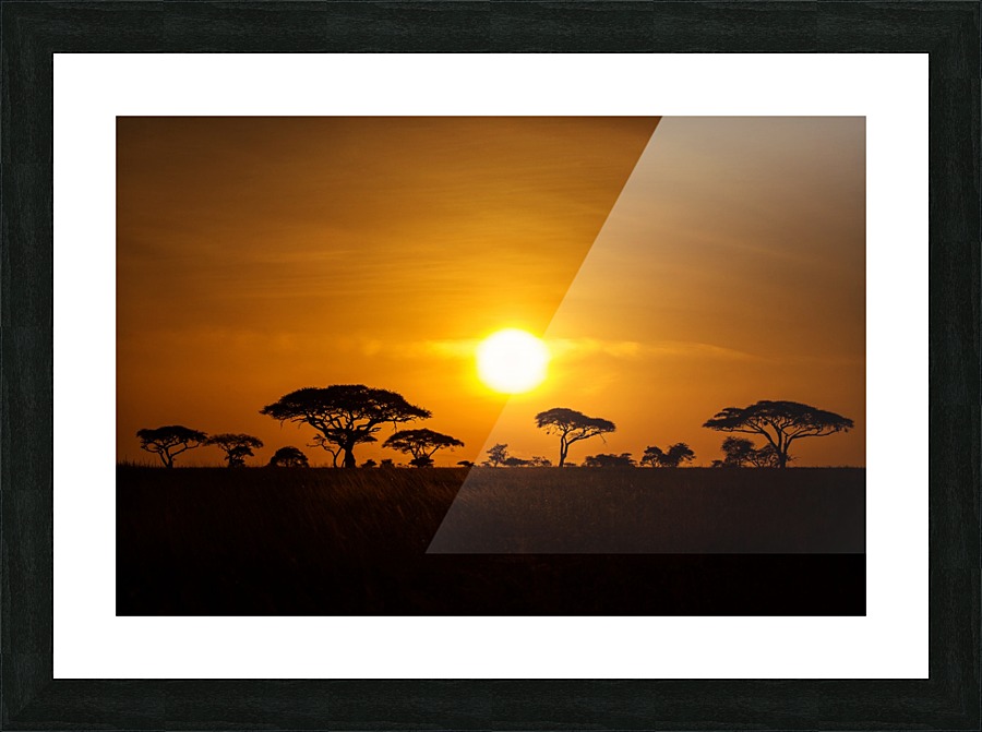 3W3A8523 Picture Frame print