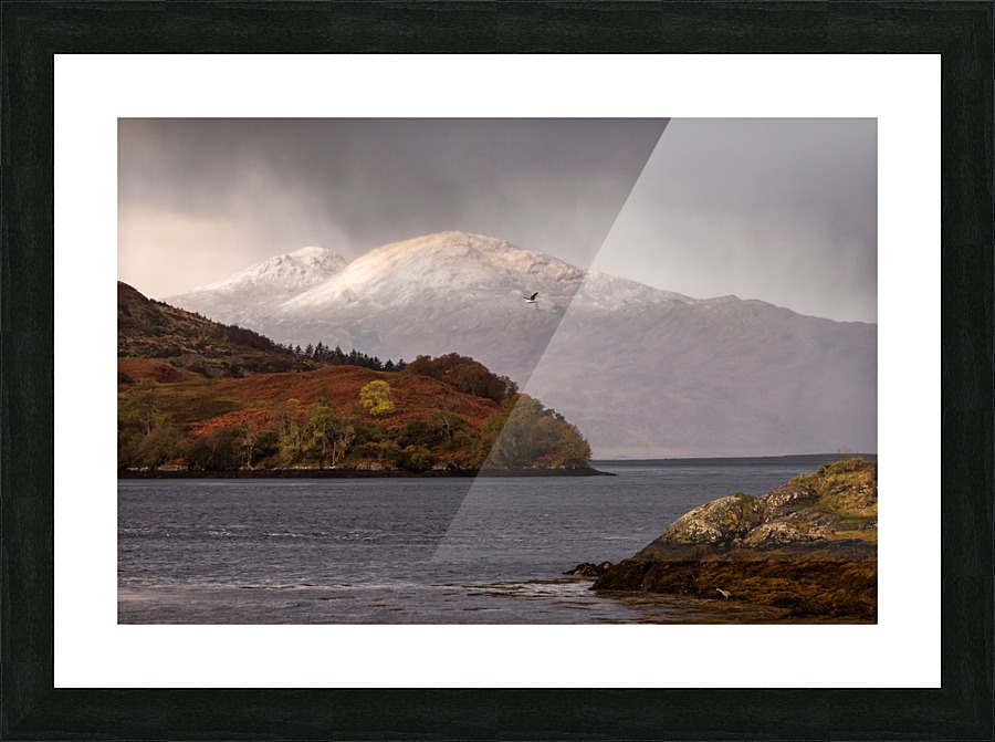 9W8A3897copy Picture Frame print