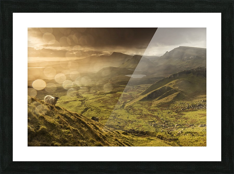 9W8A2346copy Picture Frame print
