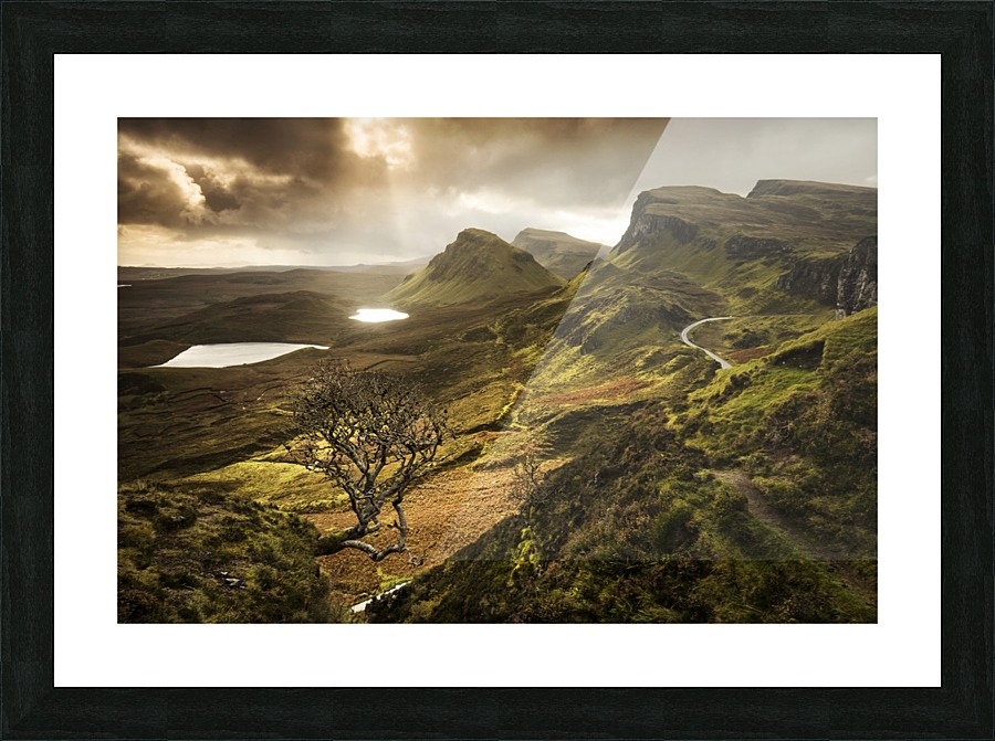 9W8A2505copy Picture Frame print