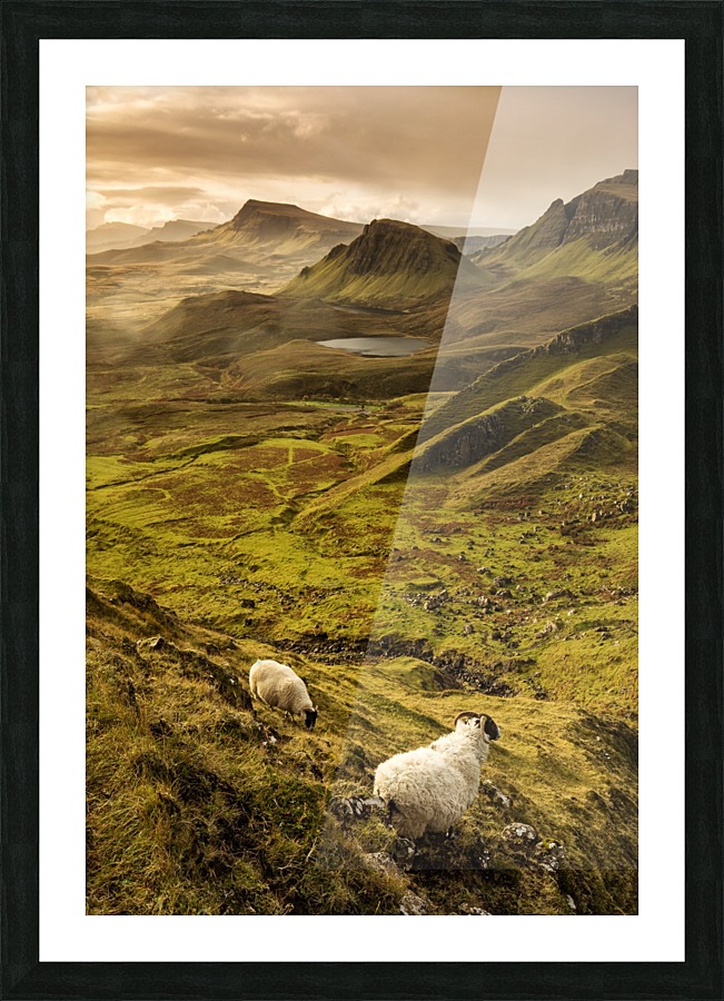 9W8A2358copy Picture Frame print