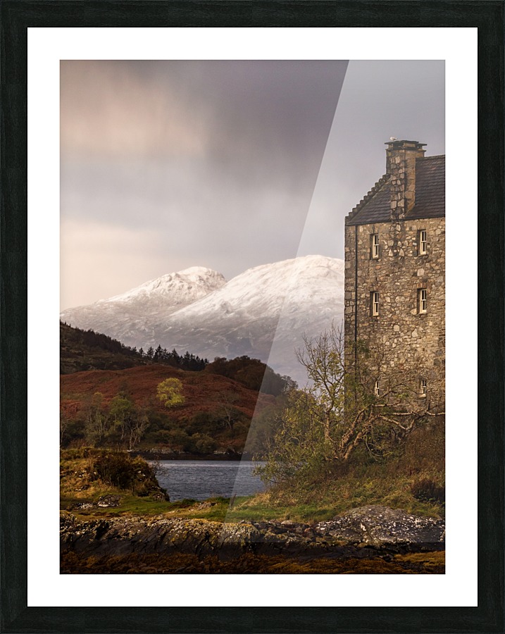 9W8A3906copy Picture Frame print