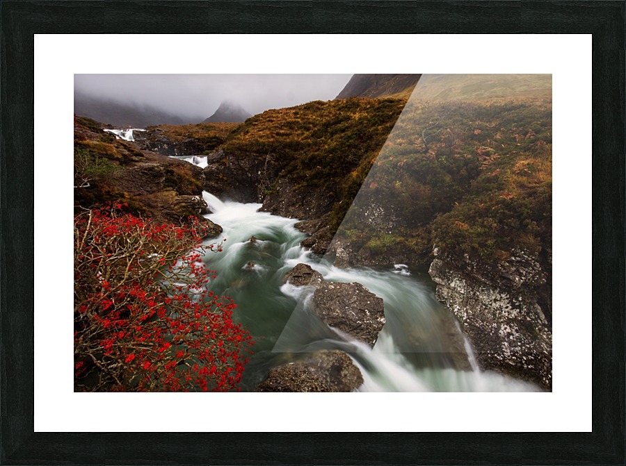 9W8A3234copy Picture Frame print