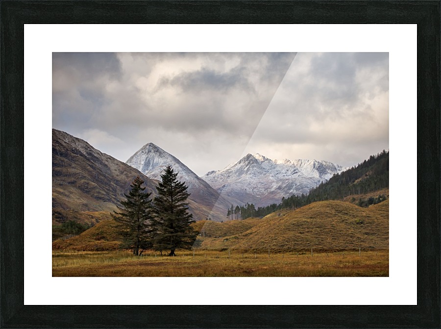 9W8A3931copy Picture Frame print