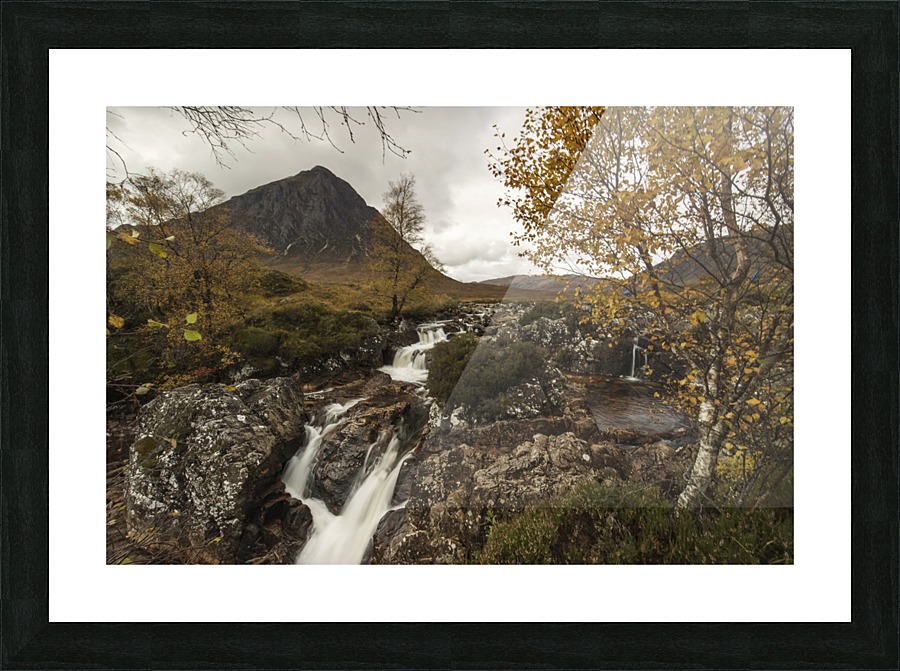 9W8A1738copy Picture Frame print