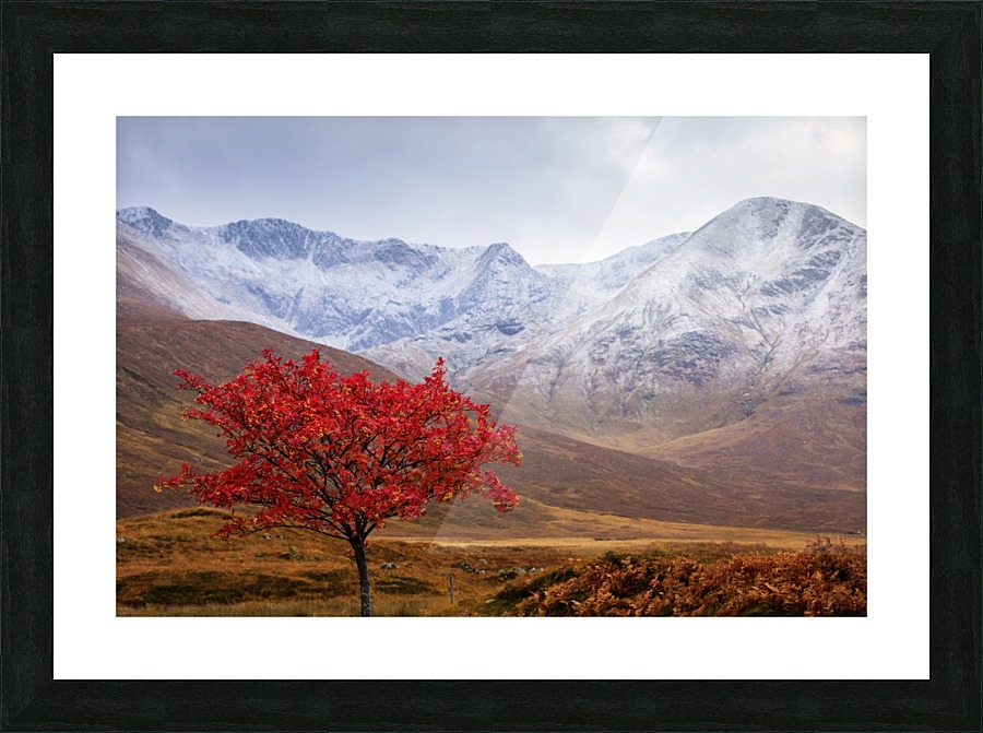 9W8A3980copy_2 Picture Frame print
