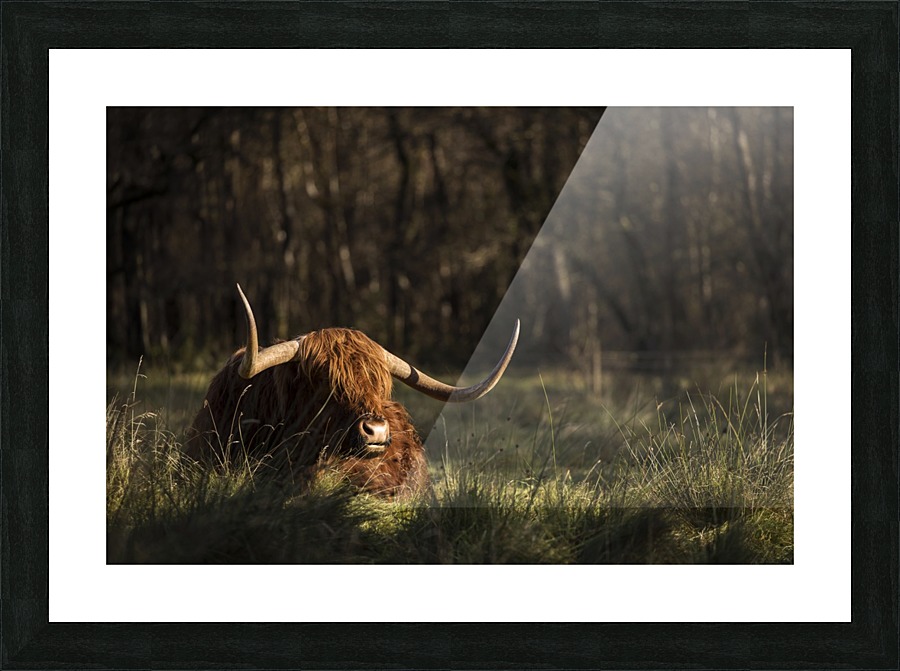 9W8A4239copy Picture Frame print