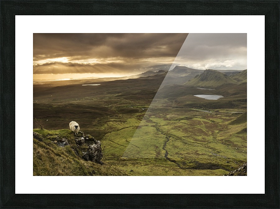 9W8A2295copy Picture Frame print