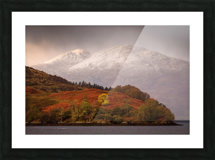 9W8A3889copy Picture Frame print